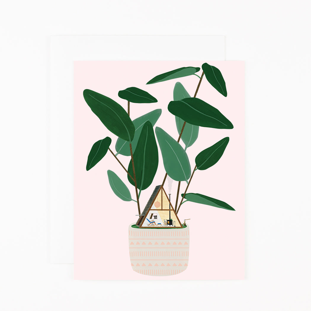 A-Frame House Plant