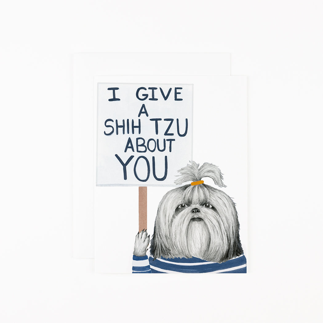 I give a Shih Tzu
