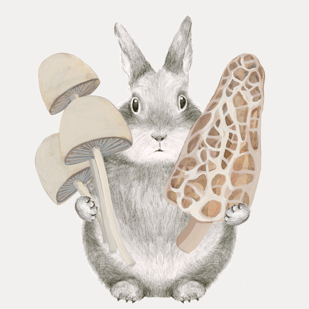 Fungi Father's Day