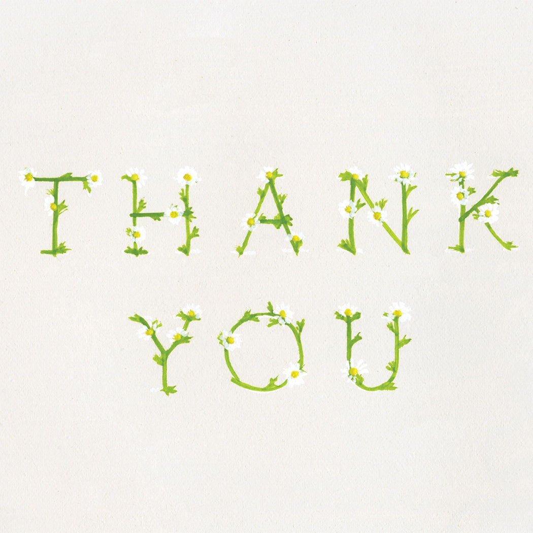 Thank You In Daisies
