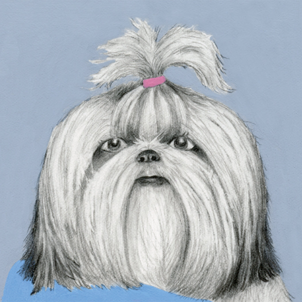 Shih Tzu in a Unicorn Tee