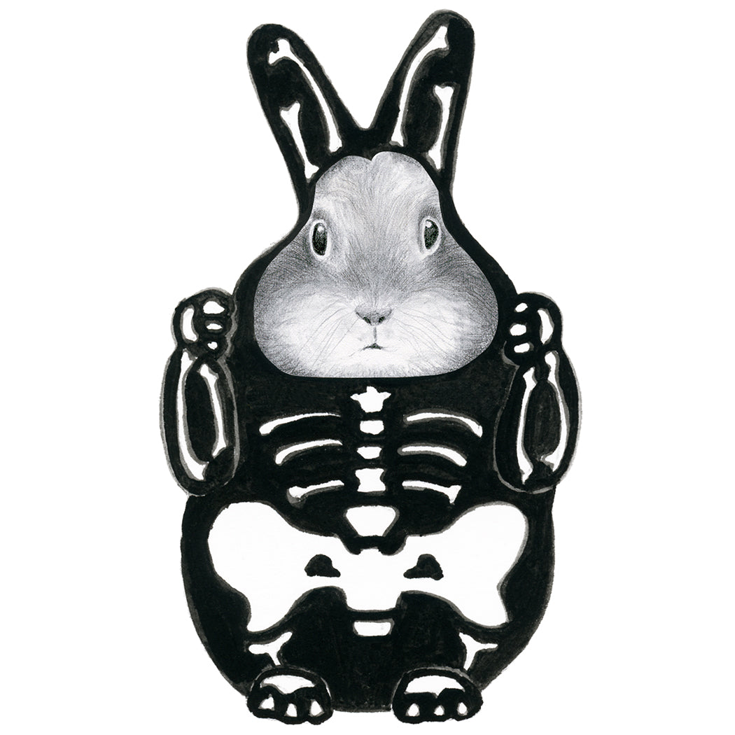 Bunny in a Skeleton Costume