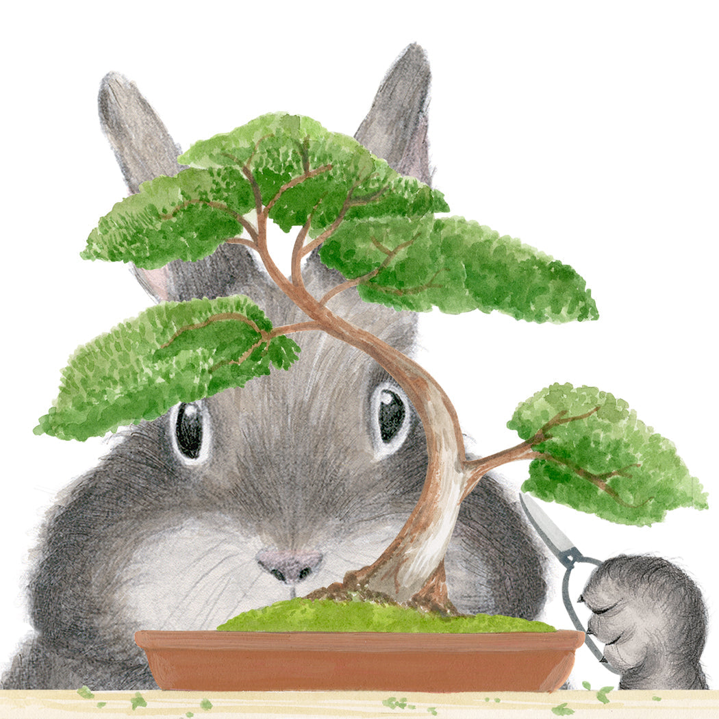 Bonsai Bunny