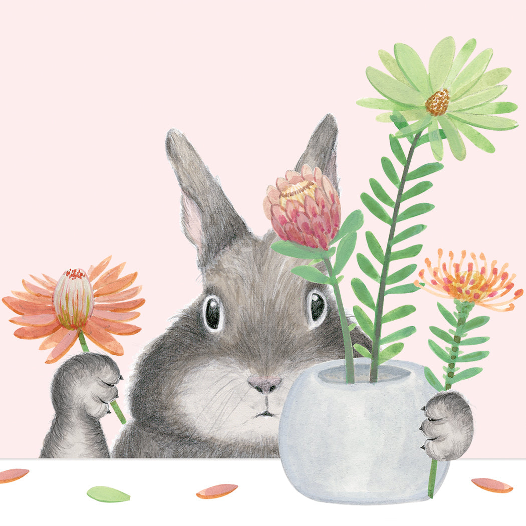 Bunny Arranging Protea