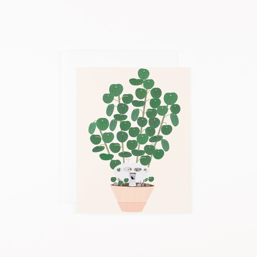 Spaceship House Plant