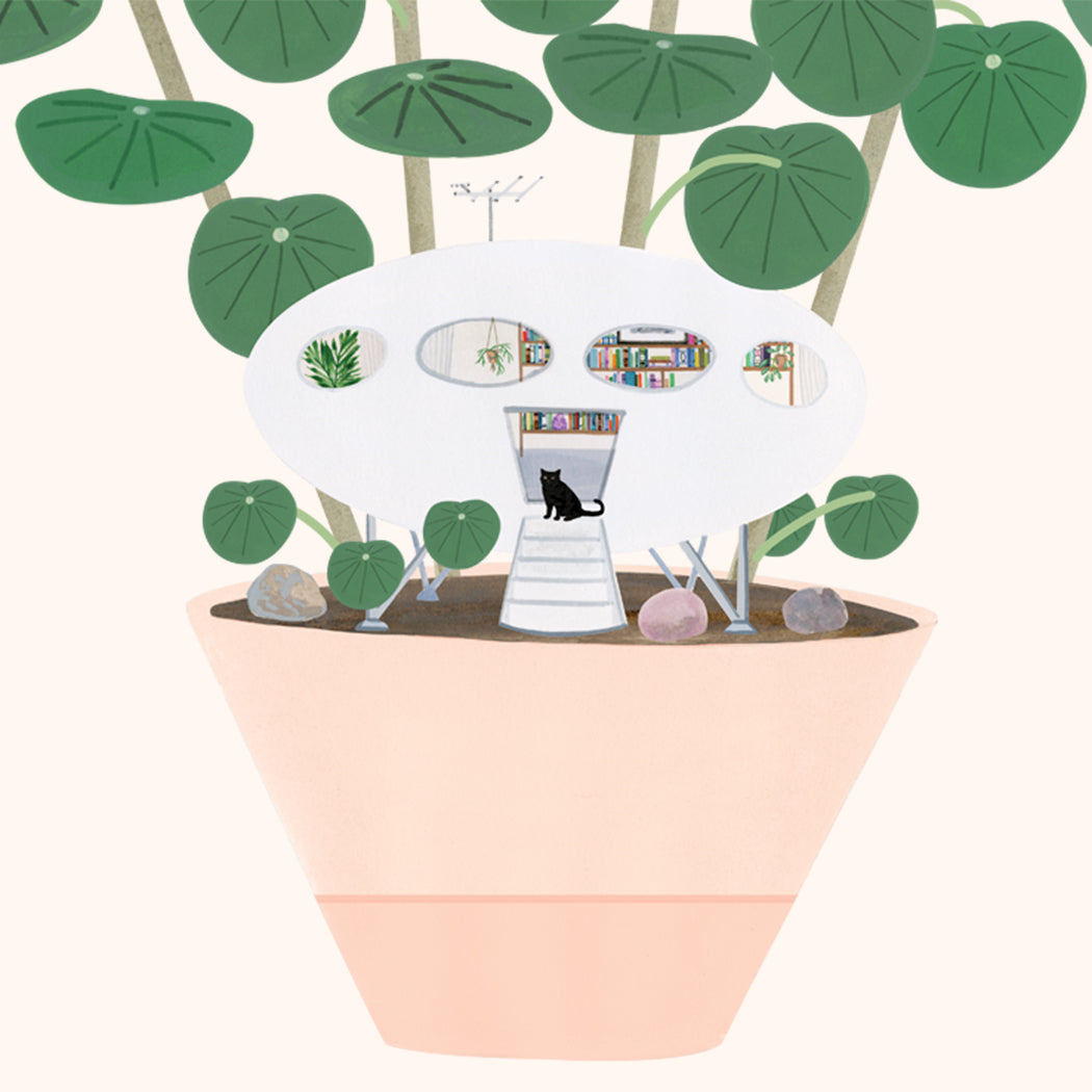 Spaceship House Plant