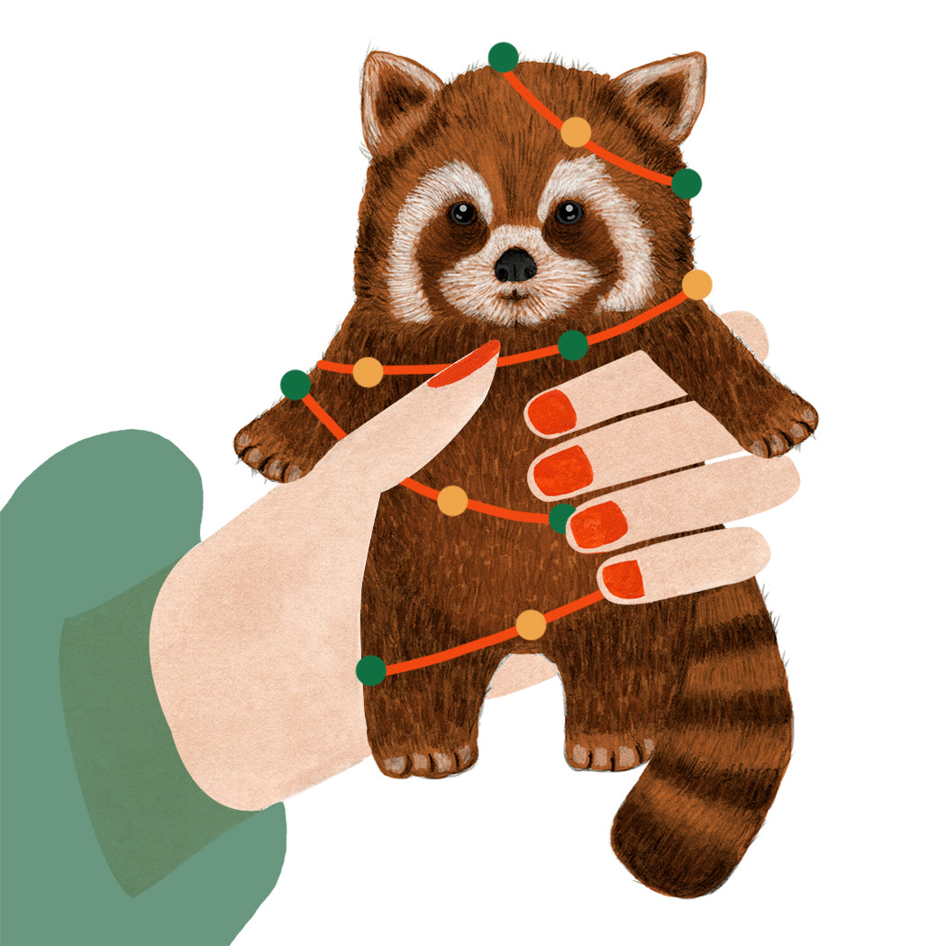 I Got You Something