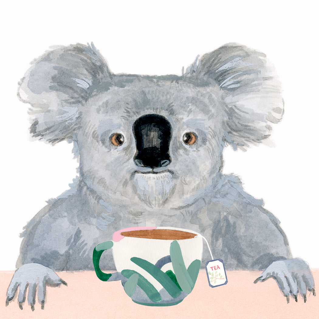Support The Koalas