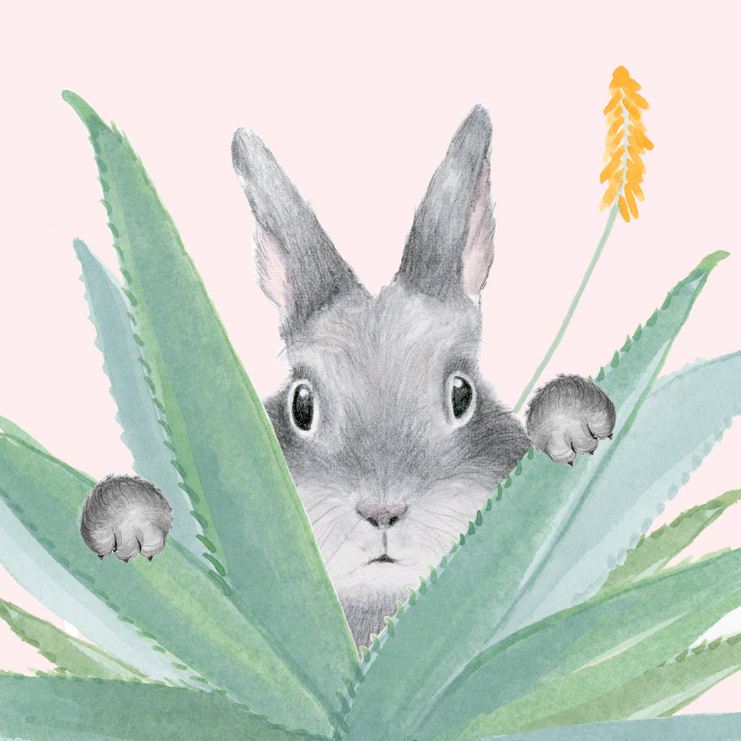Aloe from the other Siiiide