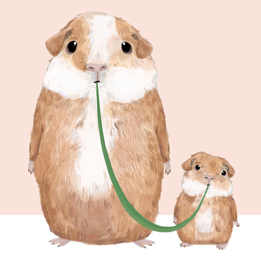 All You've Guinea Me-Mom