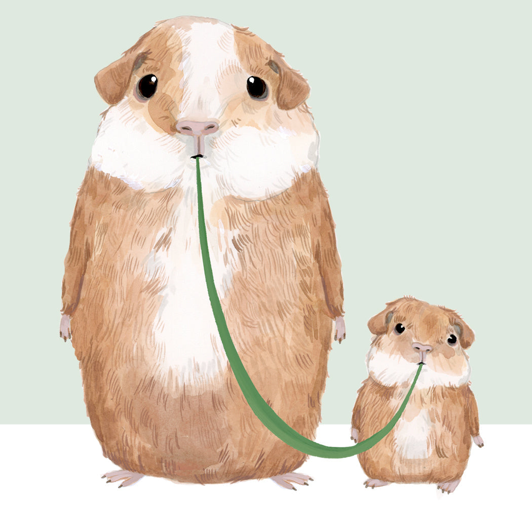 All You've Guinea Me-Dad