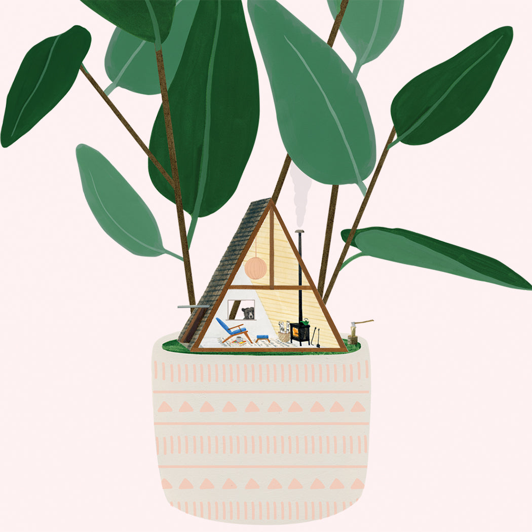 A-Frame House Plant  