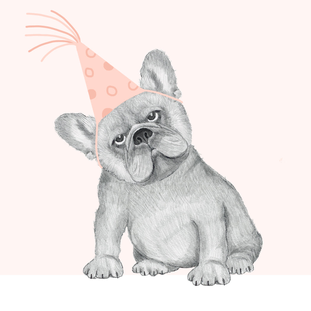 Frenchie Birthday  