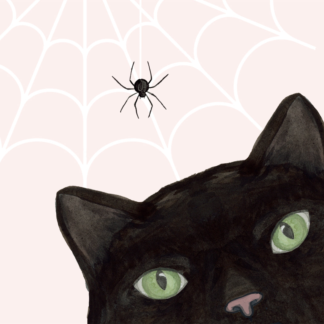 Have a Purrfect Halloween