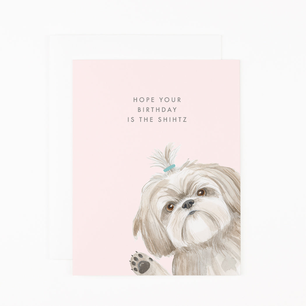 Shih Tzu Birthday