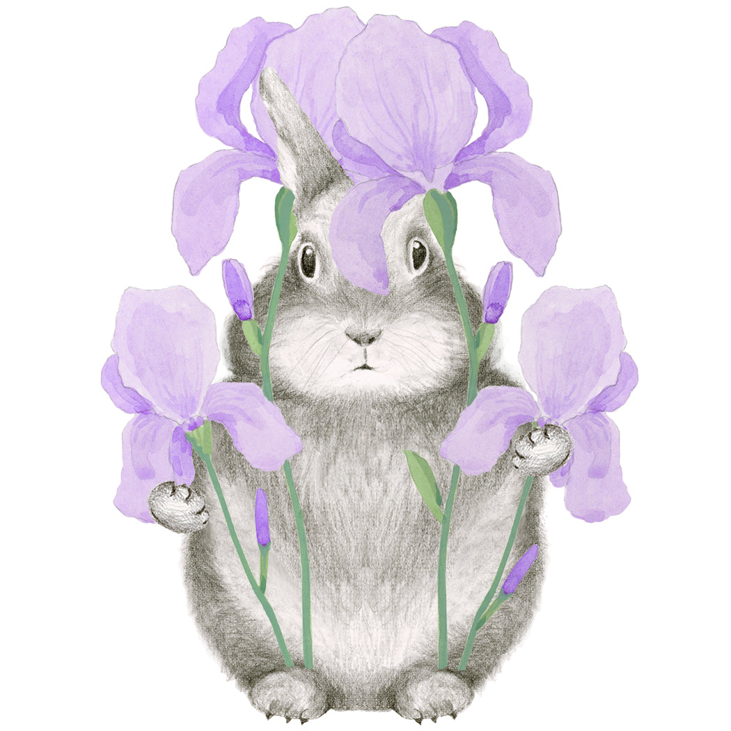 Iris You a Happy Birthday