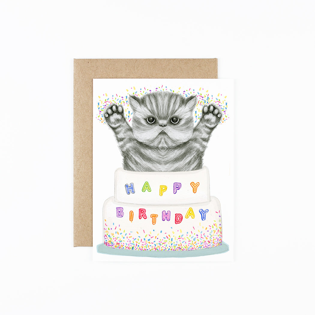 Kitten Cake  