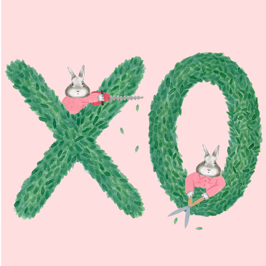 XO  