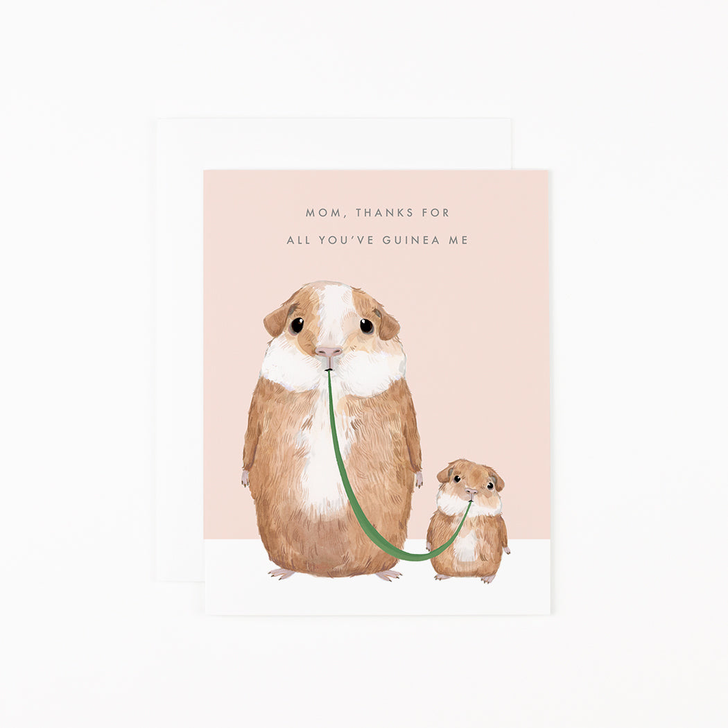 All You've Guinea Me-Mom  